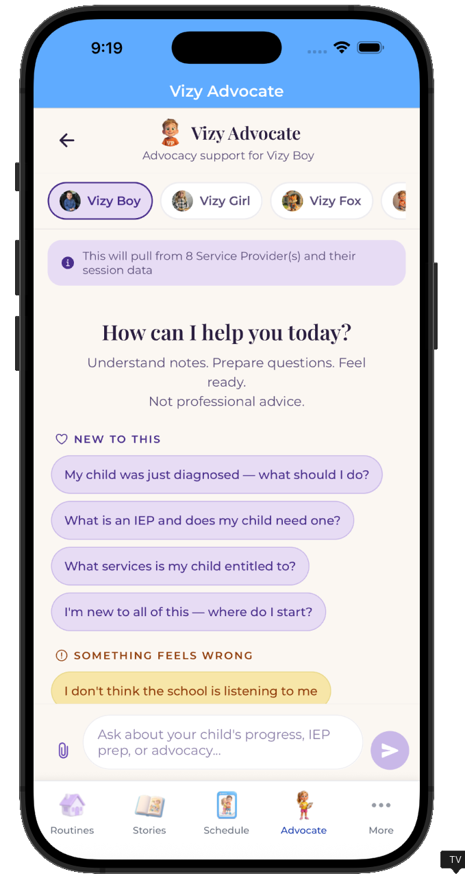 Vizy Advocate IEP meeting summary